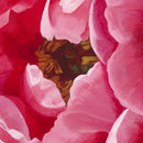Peony Trio-2