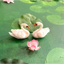 Lotus Pond-2