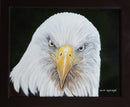 Observant Eyes-2