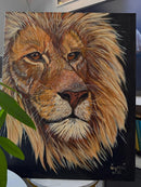 Wisdom The Lion King-2