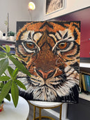 Up Close and Personal with the Big Cat!-2