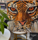 Big Cat-2
