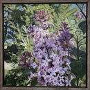 Blooming Lilacs-2
