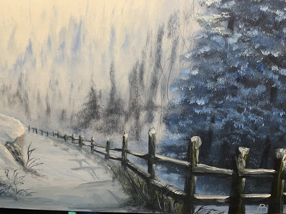 Winter country road