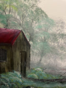 Misty Secluded Cabin-2
