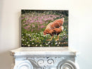 Summer Breeze-2
