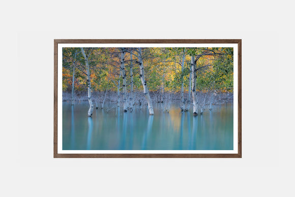 Sunken Color