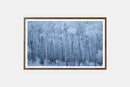 Veil of Frost-2