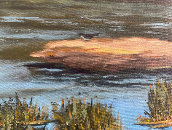 Blue Heron & Friends Wetlands