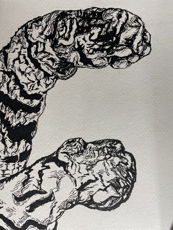 Laying Tiger