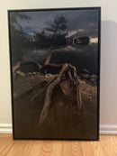 Deep Roots-2