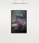 Life-2