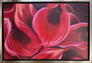 Red Calla Lilies-2