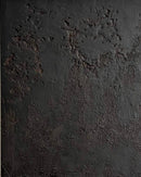 Soft Divide IIII-2