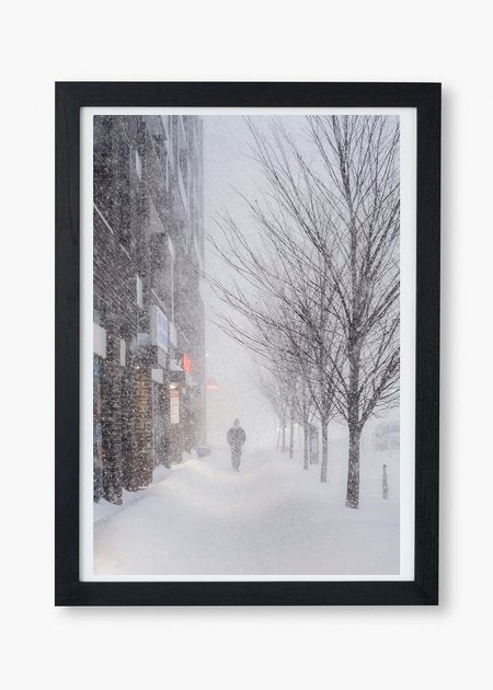 Historic Snowstorm Walks in Toronto