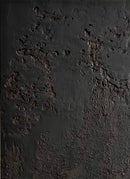 Soft Divide V-2
