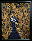 MAJESTIC PEACOCK-2