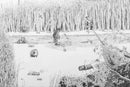 NIMBY (wetlands)-2