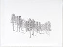 Can't see the forest...-2