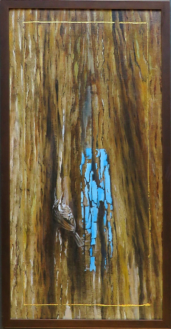 Bruce Trail, Brown Creeper