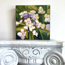 Summer Phlox-2