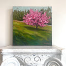 Red Bud Beauty-2