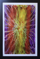 Sunflower-2