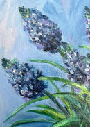 Blue Muscari-2