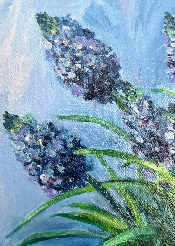Blue Muscari