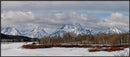 Winter Silence at Oxbow Bend-2