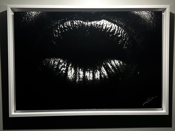 Labios
