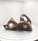 Dinoslope-2