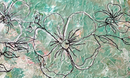Petal Reverie-2