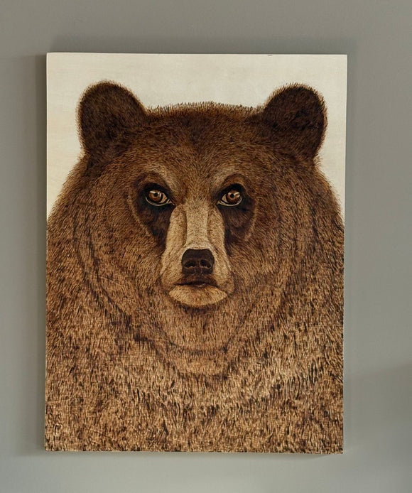 Grizzly Bear