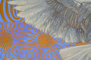 Dove of Love-2