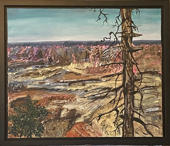 The Canyon