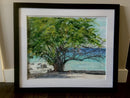 Oceanside Canopy-2
