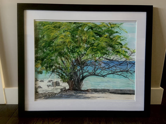 Oceanside Canopy