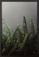 Be One with Nature - Lush-2