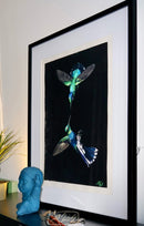 Hummingbirds-2