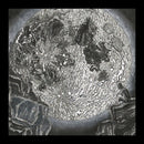 The Moon Between Us-2