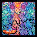 Awakening Through the Fracture-2