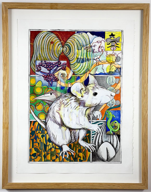 Allegheny Woodrat