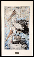 Pelicans-2
