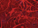 Unititled-2