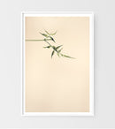 Branch from Above-2