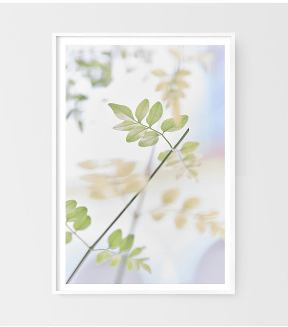 Leaves in Courtyard
