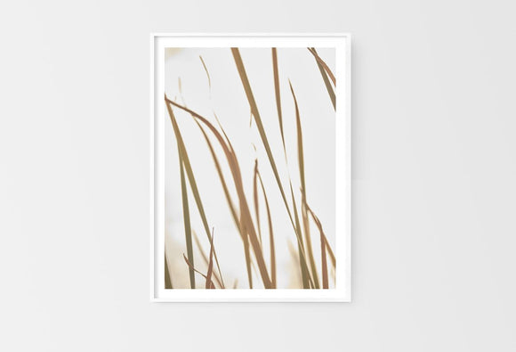 Waving Grass
