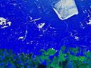 Evening Song-2
