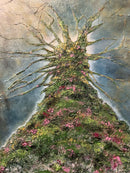 Rooted in Light-2